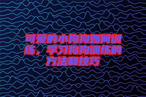 可愛(ài)的小狗狗如何訓(xùn)練，學(xué)習(xí)狗狗訓(xùn)練的方法和技巧