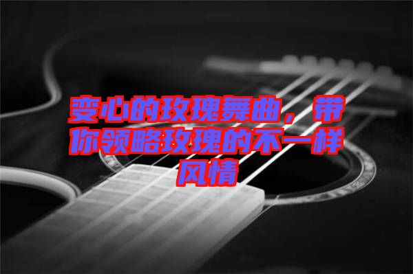 變心的玫瑰舞曲，帶你領(lǐng)略玫瑰的不一樣風(fēng)情
