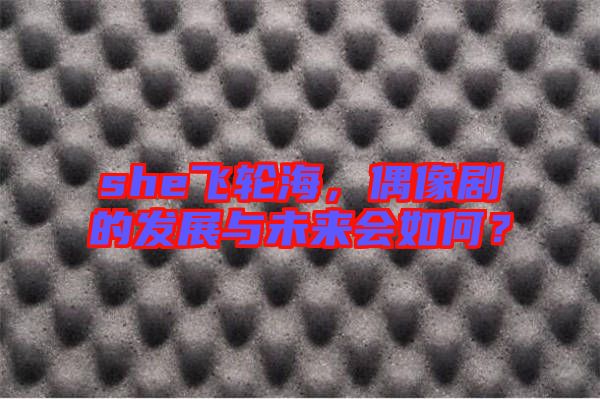 she飛輪海，偶像劇的發(fā)展與未來會(huì)如何？
