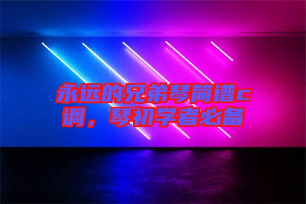永遠(yuǎn)的兄弟琴簡譜c調(diào)，琴初學(xué)者必備
