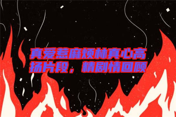 真愛惹麻煩林真心高揚(yáng)片段，精劇情回顧
