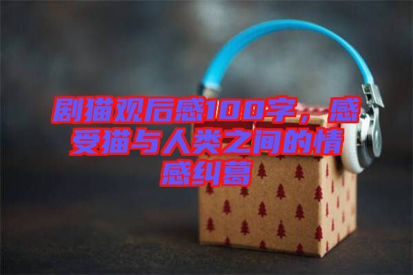 劇貓觀后感100字，感受貓與人類之間的情感糾葛