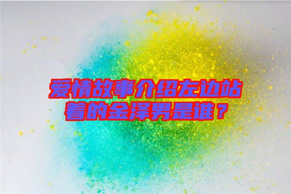 愛情故事介紹左邊站著的金澤男是誰？