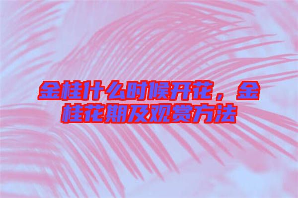 金桂什么時(shí)候開花，金桂花期及觀賞方法