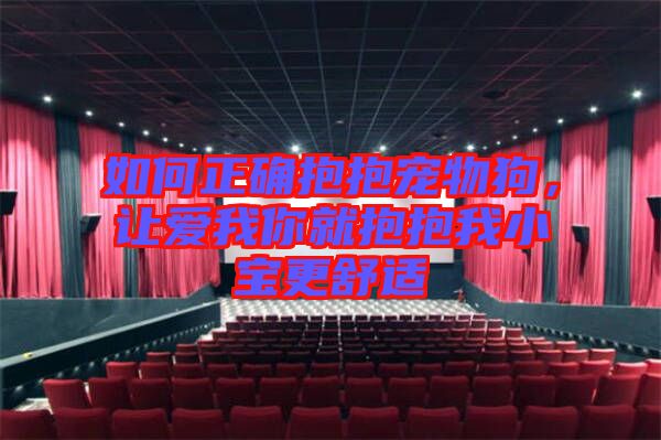 如何正確抱抱寵物狗，讓愛我你就抱抱我小寶更舒適