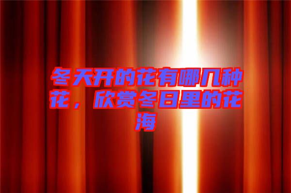 冬天開的花有哪幾種花，欣賞冬日里的花海