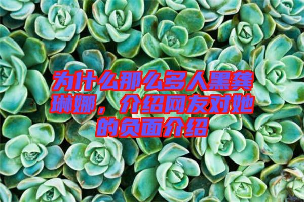為什么那么多人黑龔琳娜，介紹網(wǎng)友對她的負(fù)面介紹