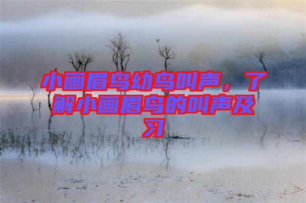 小畫眉鳥幼鳥叫聲，了解小畫眉鳥的叫聲及習(xí)