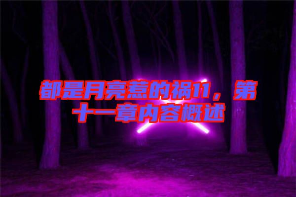 都是月亮惹的禍11，第十一章內(nèi)容概述