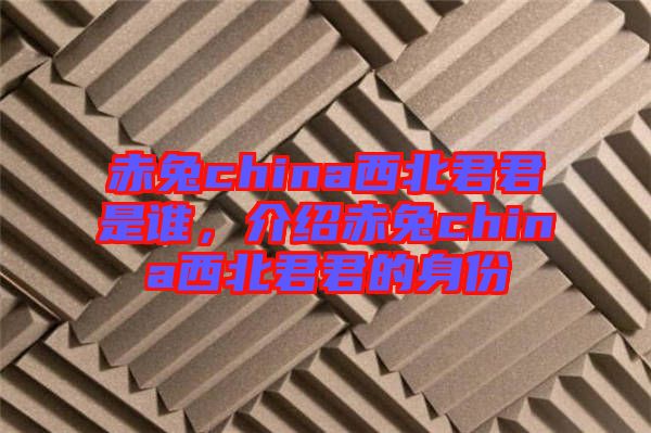 赤兔china西北君君是誰(shuí)，介紹赤兔china西北君君的身份