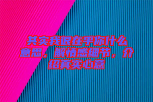 其實(shí)我很在乎你什么意思，解情感細(xì)節(jié)，介紹真實(shí)心意