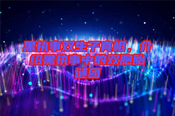 黑執(zhí)事雙生子真相，介紹黑執(zhí)事中的雙胞胎謎團