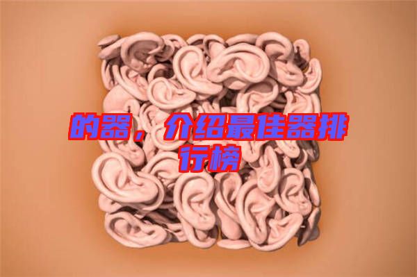 的器，介紹最佳器排行榜