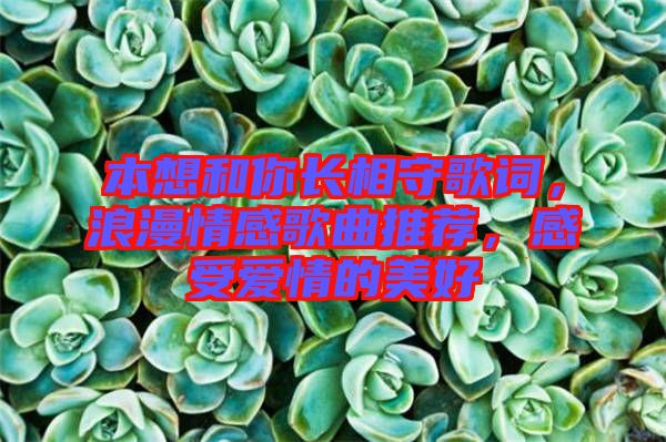 本想和你長(zhǎng)相守歌詞，浪漫情感歌曲推薦，感受愛(ài)情的美好