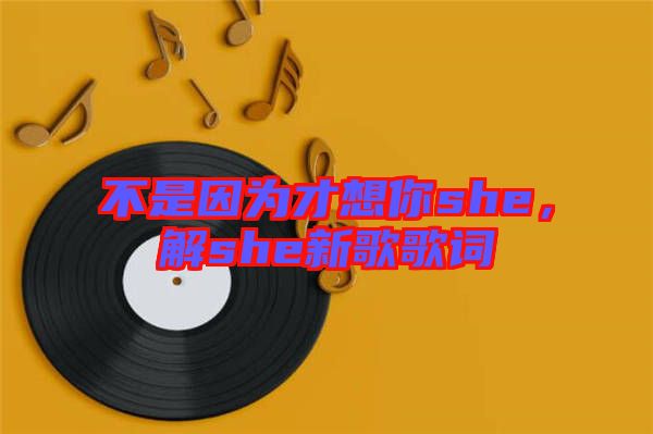 不是因?yàn)椴畔肽鉺he，解she新歌歌詞
