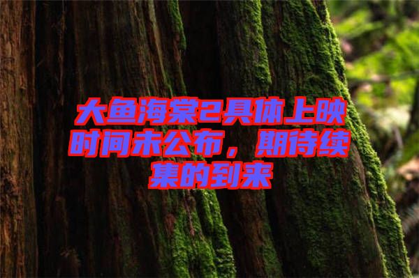 大魚(yú)海棠2具體上映時(shí)間未公布，期待續(xù)集的到來(lái)