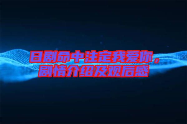 日劇命中注定我愛你，劇情介紹及觀后感