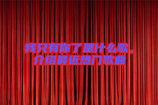 我只有你了是什么歌，介紹最近熱門(mén)歌曲