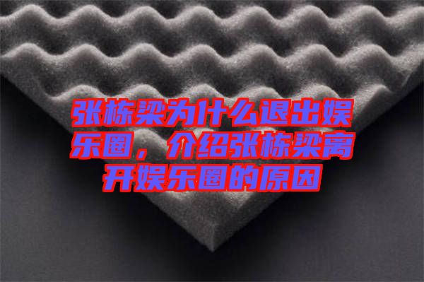 張棟梁為什么退出娛樂圈，介紹張棟梁離開娛樂圈的原因