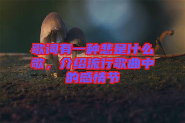 歌詞有一種悲是什么歌，介紹流行歌曲中的感情節(jié)