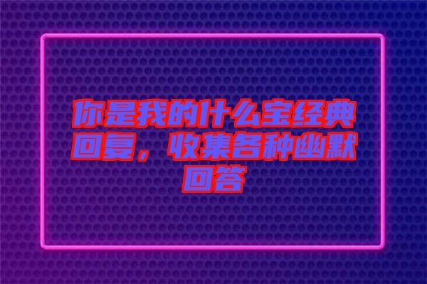 你是我的什么寶經(jīng)典回復，收集各種幽默回答