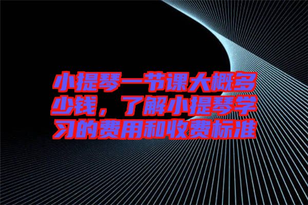 小提琴一節(jié)課大概多少錢，了解小提琴學(xué)習(xí)的費(fèi)用和收費(fèi)標(biāo)準(zhǔn)