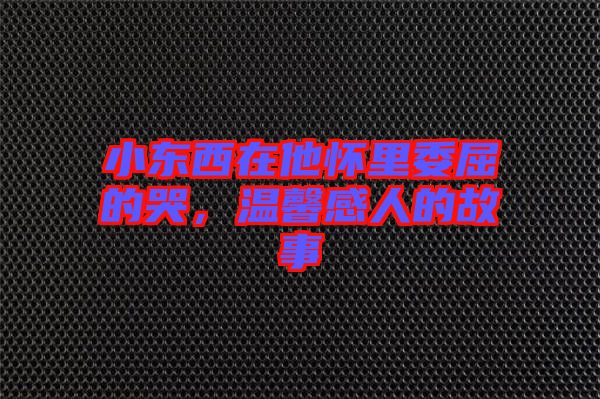 小東西在他懷里委屈的哭，溫馨感人的故事