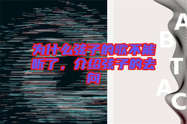 為什么弦子的歌不能聽了，介紹弦子的去向