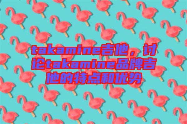 takamine吉他，討論takamine品牌吉他的特點和優(yōu)勢