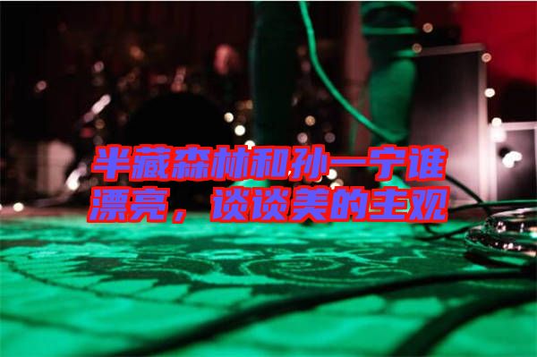 半藏森林和孫一寧誰漂亮，談?wù)劽赖闹饔^