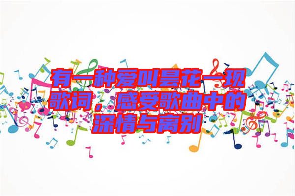 有一種愛叫曇花一現(xiàn)歌詞，感受歌曲中的深情與離別