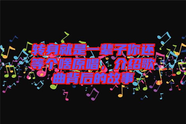 轉(zhuǎn)身就是一輩子你還等個(gè)啥原唱，介紹歌曲背后的故事