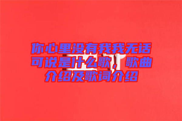 你心里沒(méi)有我我無(wú)話可說(shuō)是什么歌，歌曲介紹及歌詞介紹