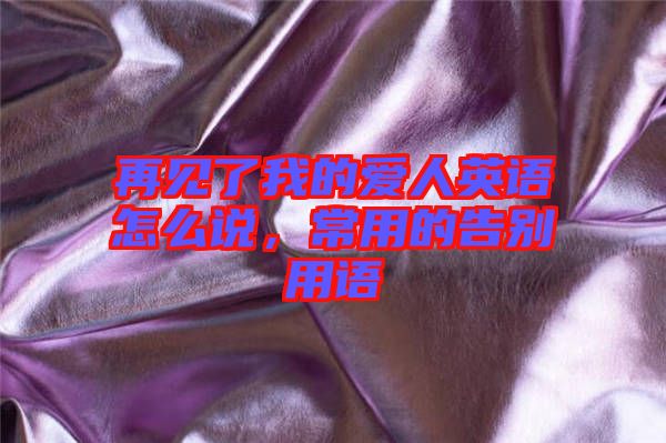 再見了我的愛人英語怎么說，常用的告別用語
