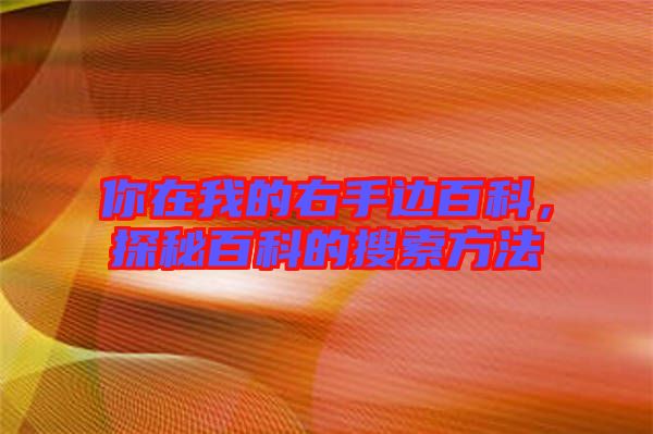 你在我的右手邊百科，探秘百科的搜索方法