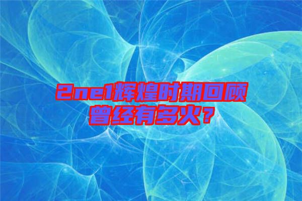 2ne1輝煌時(shí)期回顧曾經(jīng)有多火？