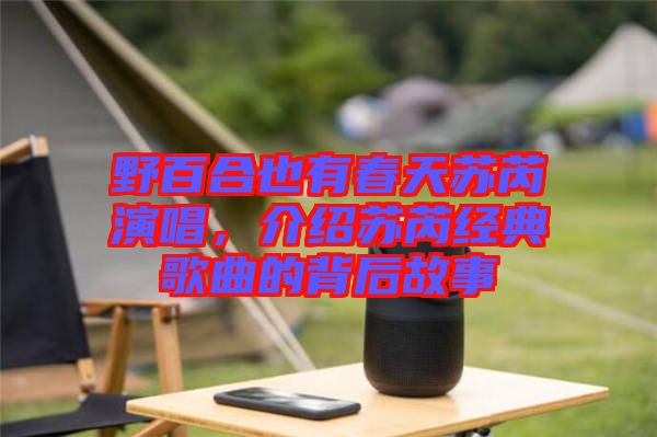 野百合也有春天蘇芮演唱，介紹蘇芮經(jīng)典歌曲的背后故事