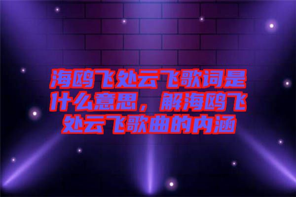 海鷗飛處云飛歌詞是什么意思，解海鷗飛處云飛歌曲的內(nèi)涵
