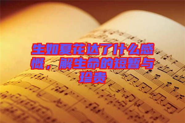 生如夏花達(dá)了什么感慨，解生命的短暫與珍貴