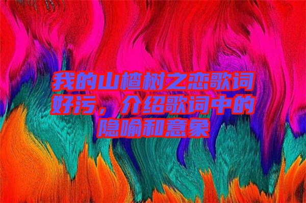 我的山楂樹(shù)之戀歌詞好污，介紹歌詞中的隱喻和意象
