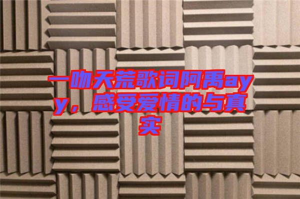一吻天荒歌詞阿禹ayy，感受愛情的與真實(shí)