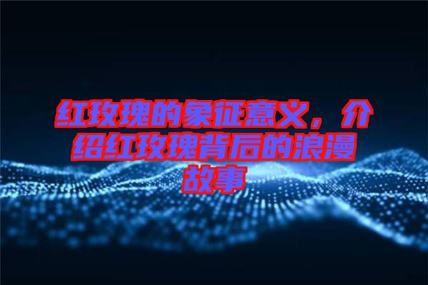 紅玫瑰的象征意義，介紹紅玫瑰背后的浪漫故事