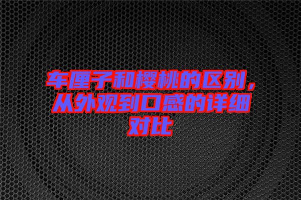 車(chē)?yán)遄雍蜋烟业膮^(qū)別，從外觀到口感的詳細(xì)對(duì)比