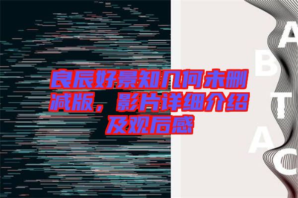 良辰好景知幾何未刪減版，影片詳細(xì)介紹及觀后感