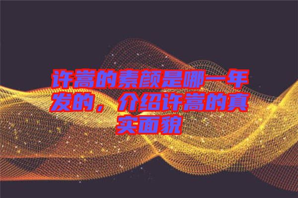 許嵩的素顏是哪一年發(fā)的，介紹許嵩的真實(shí)面貌
