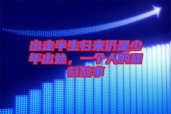 出走半生歸來仍是少年出處，一個(gè)人的回歸故事