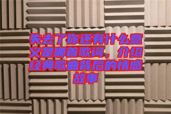 失去了你還有什么意義是哪首歌詞，介紹經(jīng)典歌曲背后的情感故事