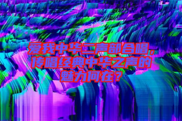 愛我中華二聲部合唱，傳唱經(jīng)典中華之聲的魅力何在？