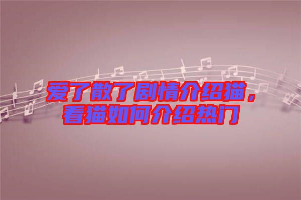 愛了散了劇情介紹貓，看貓如何介紹熱門