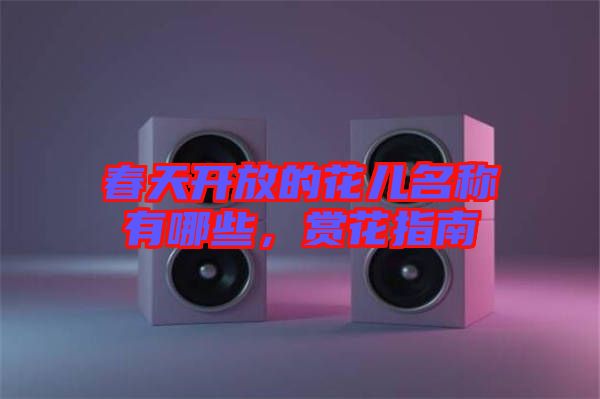 春天開放的花兒名稱有哪些，賞花指南
